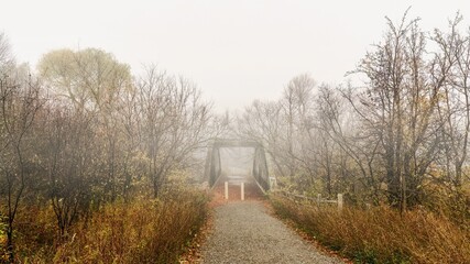 A foggy autumn morning at the Wiley Bridge in Claireville Conservation Area, Brampton, Ontario, Canada