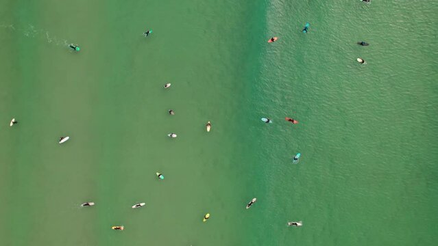 Top down view of surfers swimming in water on the west coast of Portugal