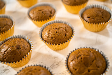 Gingerbread cupcakes