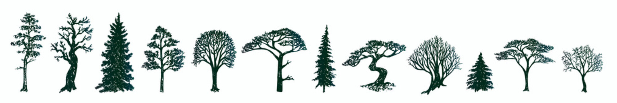 Trees silhouette collection, hand drawn doodle sketch, black and white vector illustration