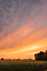 sunset over the field