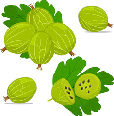 Sweet juicy tasty natural eco product gooseberry