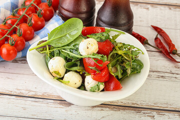 Mix salad with mozzarella and tomato