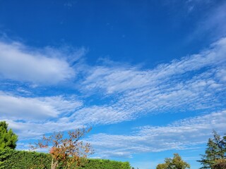 Obraz premium Ciel bleu, nuages et arbres
