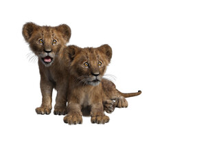Lion cubs scare to be alone, isolated on transparent background. 3D rendering. PNG 