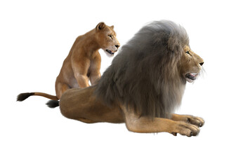Obraz premium lion and lioness resting isolated on transparent background. 3D rendering. PNG