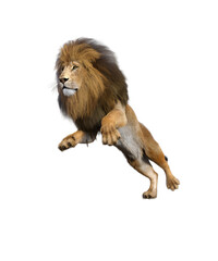 Lion Jumping to kill, isolated on transparent background, PNG