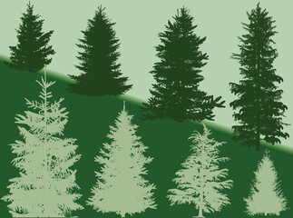 fir eight silhouettes on green background