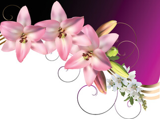 pink lilies group on lilac and white background