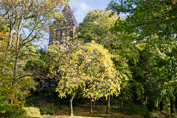 Nature fall background featuring detail of park in Lousberg in Aachen Germany. 