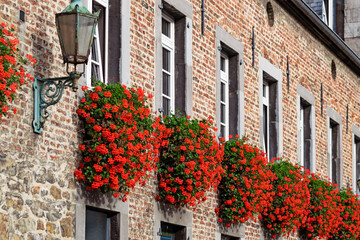 Fototapeta na wymiar Hanging geraniums on wall of medieval building in October in Aachen Germany. Abstract urban or outdoor background. 