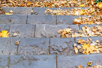 Abstract nature autumn background with stone steps of stairs in park in Aachen, Germany.