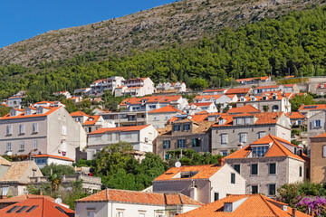 Fototapeta na wymiar Tiled roofs of residential buildings and small gardens densely packed on slopes of hills in Dubrovnik, Croatia seen from city wall, illustrating modern Mediterranean urban landscape and relaxed living