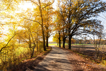 Obraz premium Sunny autumn day in european countryside. Rural road. Czech Republic.