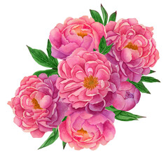 composition with peony flowers and leaves.