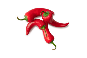 Red hot chili pepper isolated on a white background.