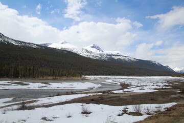 Winter On The Land, Jasper National Park, Alberta