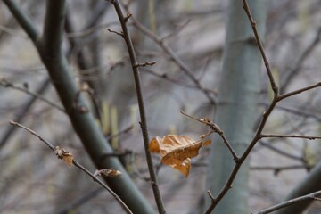 Scatti autunnali risaie