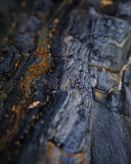 Rocky shapes on the beach. textures and patterns generated on the stones of the Asturian beaches