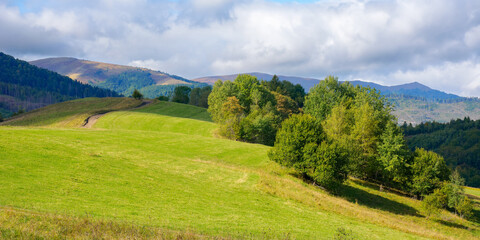 mountainous countryside scenery in early autumn. grassy rolling hills with some deciduous trees in...