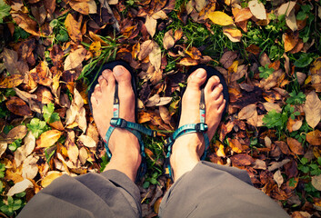 feet in sandals on autumn leaves