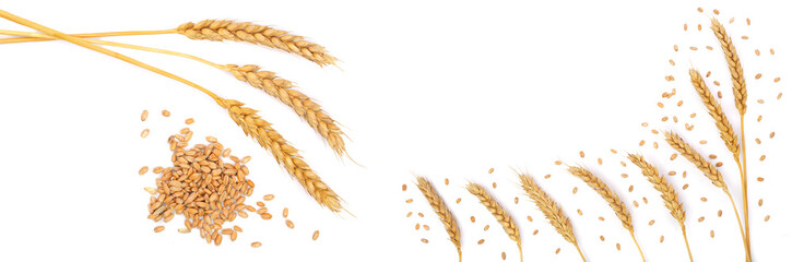 grain and ears of wheat isolated on white background with copy space for your text. Top view. Flat lay pattern