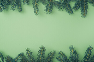 minimal pattern of fir branches. mint green background. design concept
