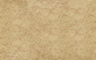 Natural burl wood texture high resolution