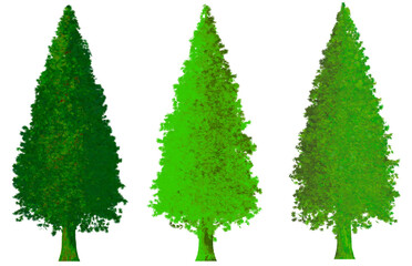 A set of tall Christmas trees with different direction of shadows and different shades of bright saturated greenery. png format.