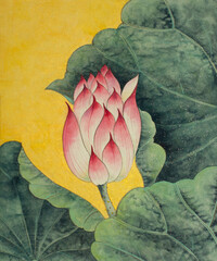 bright pink lotus - 543918916