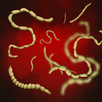 Illustration of helminths on color background. Parasites in human body
