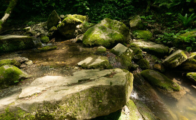 Mountain river among large stones in a green forest with small waterfalls. Sochi, Lazarevskoe, Berendeevo kingdom