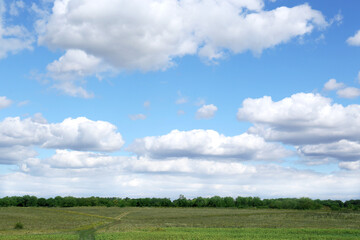 Picturesque view of beautiful fluffy clouds in light blue sky above field