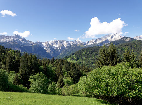 In the foreground a mountain meadow with a forest, in the background the Wetterstein mountains.