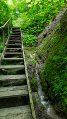 Obraz premium Wooden staircase in the forest in the mountains next to the waterfalls in the location of the Berendeyevo kingdom