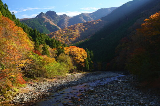 天川村の紅葉（奈良県吉野郡天川村北角　国道309号線　旧行者還林道）