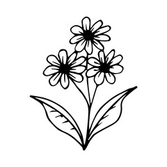 hand drawn botanical flower doodle element for floral design concept