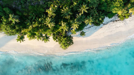 Paradise beach overhead