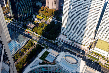 Fototapeta premium Skyscrapers towering above the cityscape of Nishi-Shinjuku, Tokyo, Japan