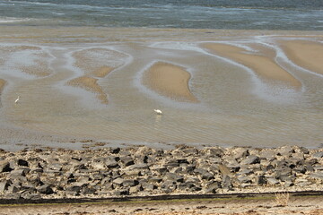 the tidal beach of the sea  and a beautiful pattern in the sand with upcoming tide and a part of the dike in front
