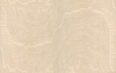 Beautiful crown cut bleached wood veneer with an abstract grain