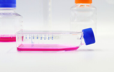 A Roux cell culture bottle for the study of cells and viruses, such as coronaviruses and other...