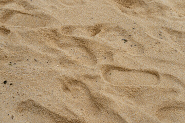 Texture footprints in the sand on the beach close up