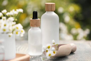 Fototapeta na wymiar Bottles of chamomile essential oil and flowers on grey wooden table, closeup