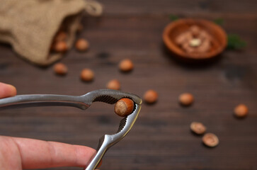 nutcracker with hazelnut in hand close-up