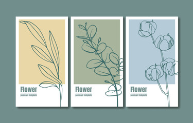 Sprig set postcard flowers design. Cotton branch with eucalyptus leaves