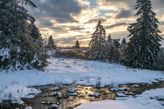 when winter comes the cold, snow and ice accompany it