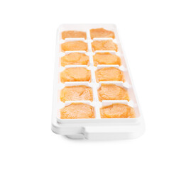 Puree in ice cube tray on white background. Ready for freezing
