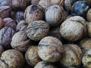 Welnuts that fell on the floor