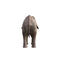 Fototapeta premium Illustration of an elephant in different poses and angles for collage or clip art. Pose number 1 isolated on white background. 3D rendering illustration.